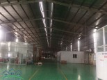 Cho thuê nhà xưởng tại KCN Nguyên Khê Hà Nội 2510m (Có ảnh thật)